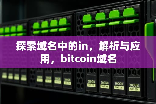 探索域名中的in，解析与应用，bitcoin域名