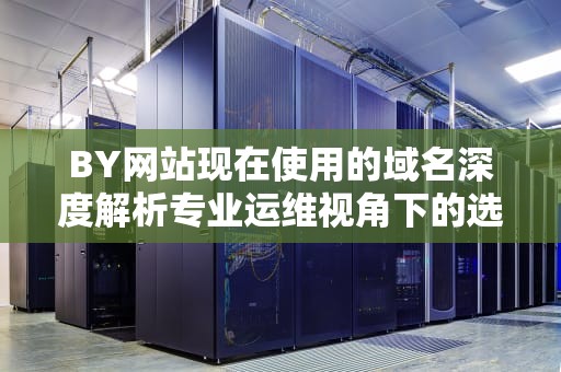 BY网站现在使用的域名深度解析专业运维视角下的选型策略与技术实践