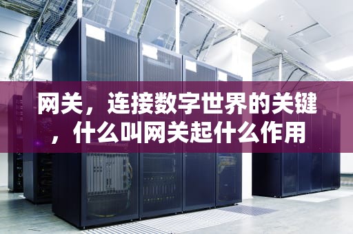 网关，连接数字世界的关键，什么叫网关起什么作用