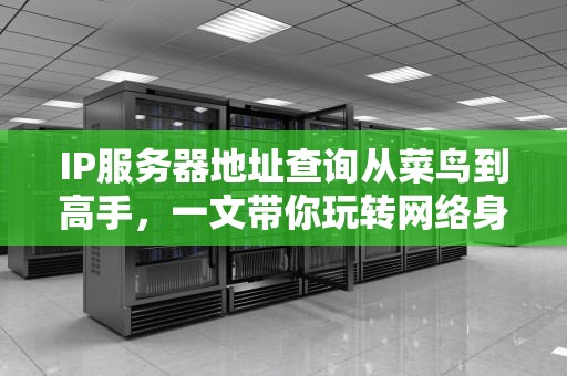 IP服务器地址查询从菜鸟到高手，一文带你玩转网络身份证