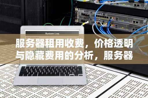 服务器租用收费，价格透明与隐藏费用的分析，服务器租用收费标准