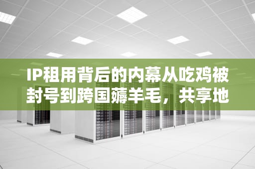 IP租用背后的内幕从吃鸡被封号到跨国薅羊毛，共享地址的水有多深？