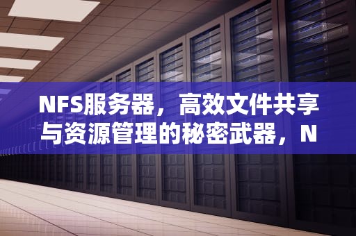 NFS服务器，高效文件共享与资源管理的秘密武器，NFS服务器是什么