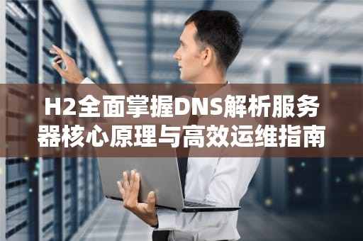 H2全面掌握DNS解析服务器核心原理与高效运维指南