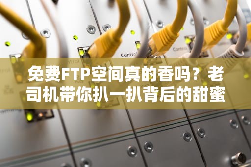 免费FTP空间真的香吗？老司机带你扒一扒背后的甜蜜陷阱