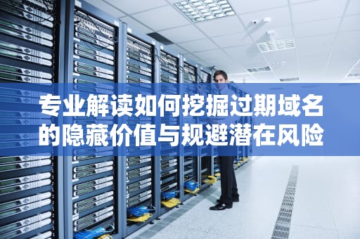 专业解读如何挖掘过期域名的隐藏价值与规避潜在风险