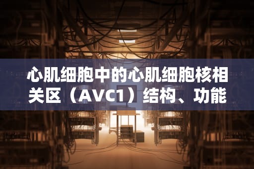 心肌细胞中的心肌细胞核相关区（AVC1）结构、功能及其在心肌存活与功能恢复中的作用，avc1是什么格式