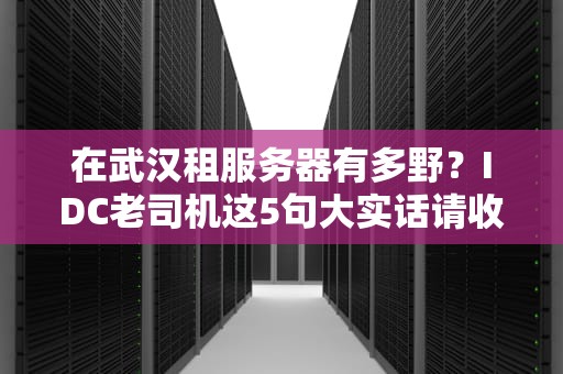 在武汉租服务器有多野？IDC老司机这5句大实话请收好