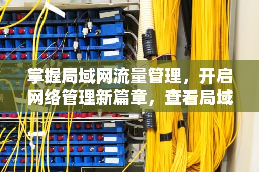 掌握局域网流量管理，开启网络管理新篇章，查看局域网内流量的软件