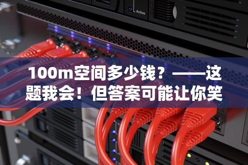 100m空间多少钱？——这题我会！但答案可能让你笑出鼻涕泡