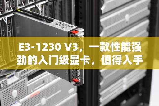 E3-1230 V3，一款性能强劲的入门级显卡，值得入手吗？e31230v3有核显吗