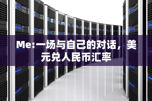Me:一场与自己的对话，美元兑人民币汇率