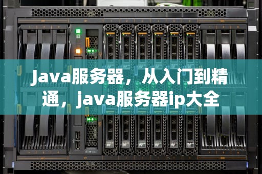 Java服务器，从入门到精通，java服务器ip大全
