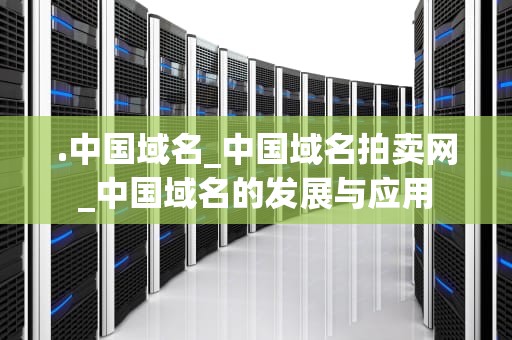 .中国域名_中国域名拍卖网_中国域名的发展与应用
