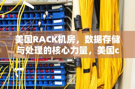 美国RACK机房，数据存储与处理的核心力量，美国cera机房