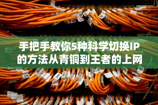 手把手教你5种科学切换IP的方法从青铜到王者的上网隐私保护指南