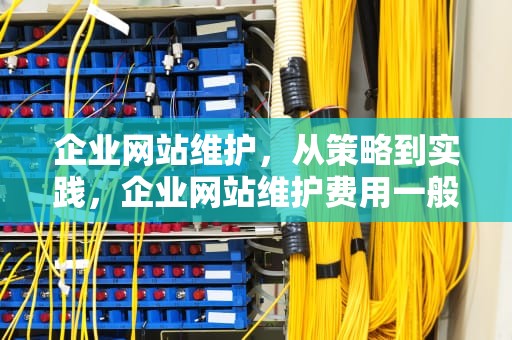 企业网站维护，从策略到实践，企业网站维护费用一般多少钱
