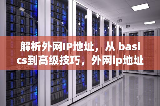 解析外网IP地址，从 basics到高级技巧，外网ip地址查询