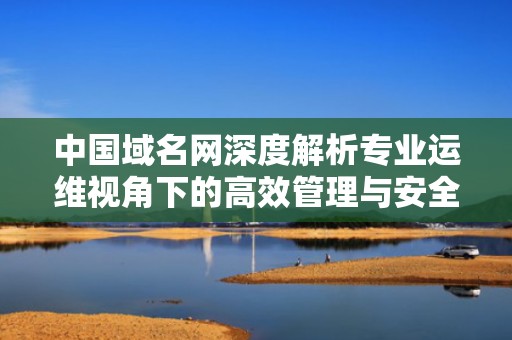 中国域名网深度解析专业运维视角下的高效管理与安全实践