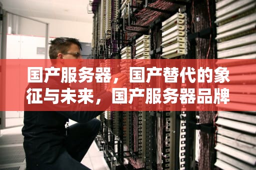 国产服务器，国产替代的象征与未来，国产服务器品牌前十大排名