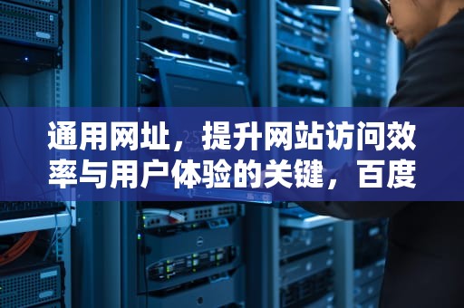 通用网址，提升网站访问效率与用户体验的关键，百度网盘通用网址