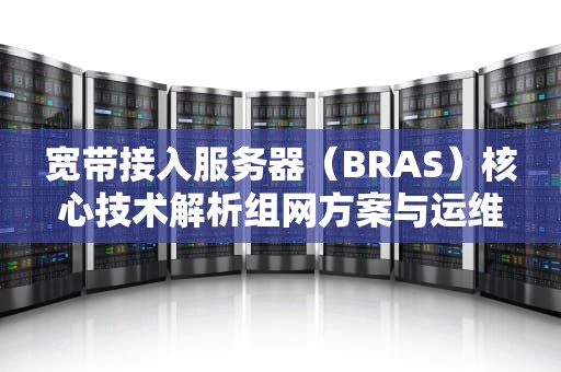 宽带接入服务器（BRAS）核心技术解析组网方案与运维要点全指南