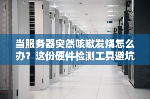 当服务器突然咳嗽发烧怎么办？这份硬件检测工具避坑指南请收好（附运维老司机私藏姿势）