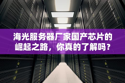 海光服务器厂家国产芯片的崛起之路，你真的了解吗？