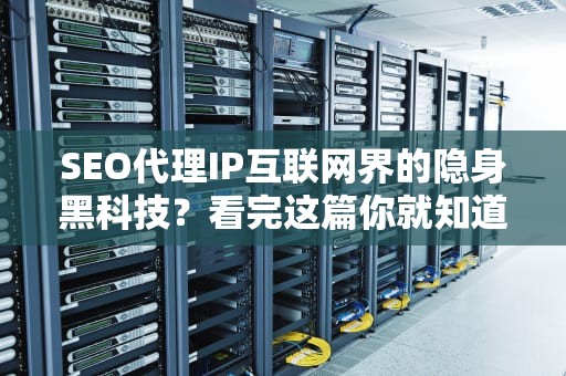 SEO代理IP互联网界的隐身黑科技？看完这篇你就知道有多野！