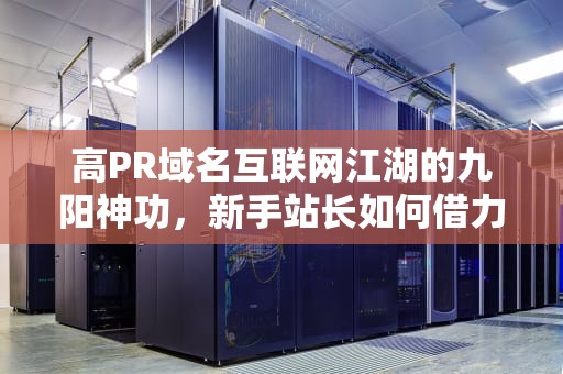 高PR域名互联网江湖的九阳神功，新手站长如何借力打力？