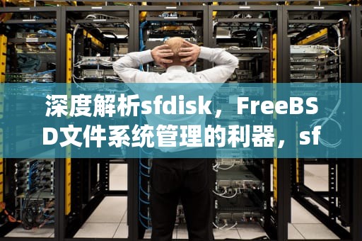 深度解析sfdisk，FreeBSD文件系统管理的利器，sfdisk详细教程