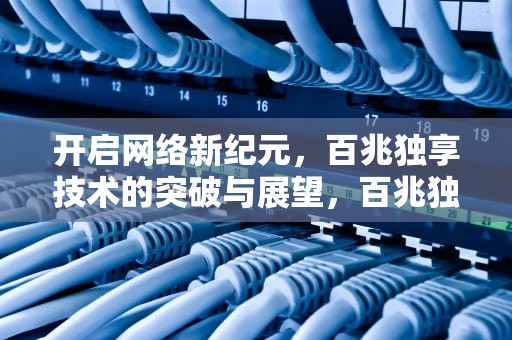开启网络新纪元，百兆独享技术的突破与展望，百兆独享服务器