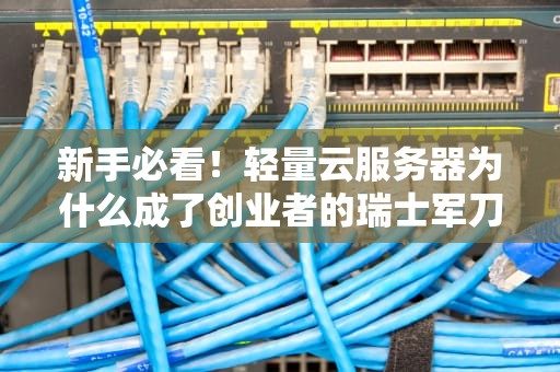 新手必看！轻量云服务器为什么成了创业者的瑞士军刀？