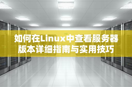 如何在Linux中查看服务器版本详细指南与实用技巧