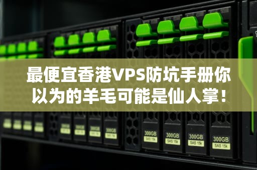 最便宜香港VPS防坑手册你以为的羊毛可能是仙人掌！