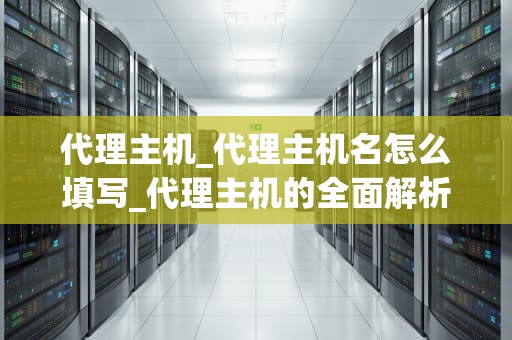 代理主机_代理主机名怎么填写_代理主机的全面解析