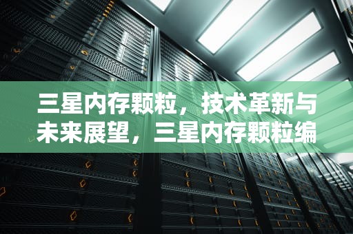 三星内存颗粒，技术革新与未来展望，三星内存颗粒编号对照表