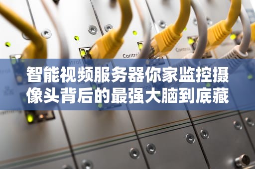 智能视频服务器你家监控摄像头背后的最强大脑到底藏着什么黑科技？