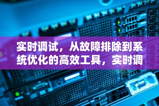 实时调试，从故障排除到系统优化的高效工具，实时调试器出现异常