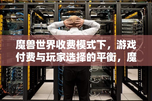 魔兽世界收费模式下，游戏付费与玩家选择的平衡，魔兽世界收费标准2024