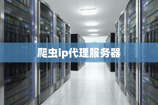 爬虫ip代理服务器