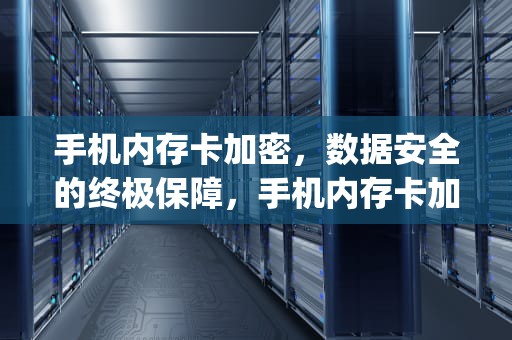 手机内存卡加密，数据安全的终极保障，手机内存卡加密软件app