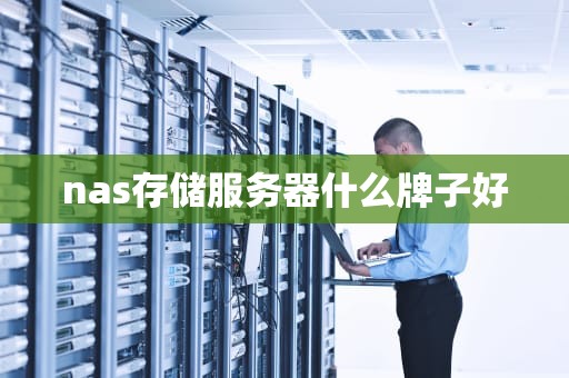 nas存储服务器什么牌子好