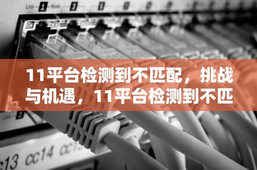 11平台检测到不匹配，挑战与机遇，11平台检测到不匹配数据异常