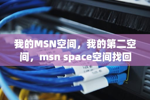 我的MSN空间，我的第二空间，msn space空间找回