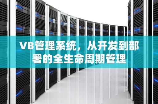 VB管理系统，从开发到部署的全生命周期管理