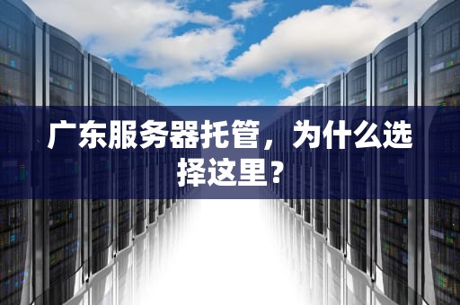 广东服务器托管，为什么选择这里？