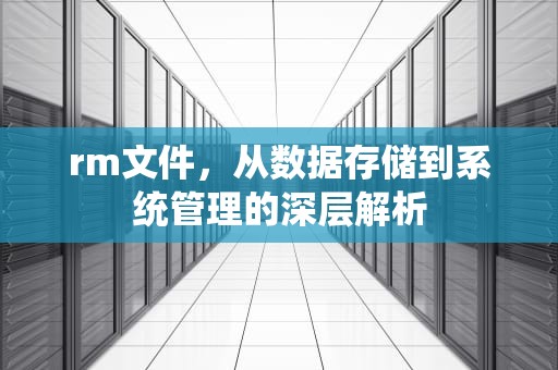 rm文件，从数据存储到系统管理的深层解析