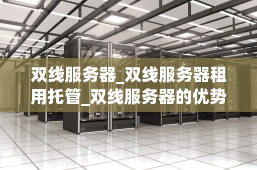 双线服务器_双线服务器租用托管_双线服务器的优势与应用
