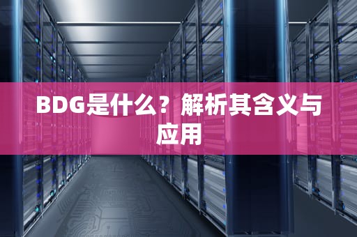 BDG是什么？解析其含义与应用